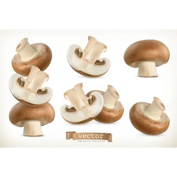 mushroom (10)-8343545-40781.webp
